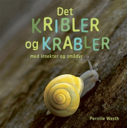 Pernille Westh: Det kribler og krabler med insekter og smådyr