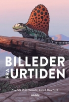 Anna Davour: Billeder fra urtiden